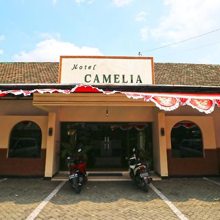 Hotel Camelia Malang Buitenkant foto