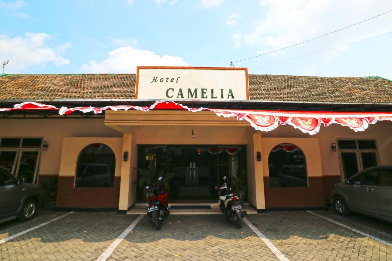 Hotel Camelia Malang Buitenkant foto